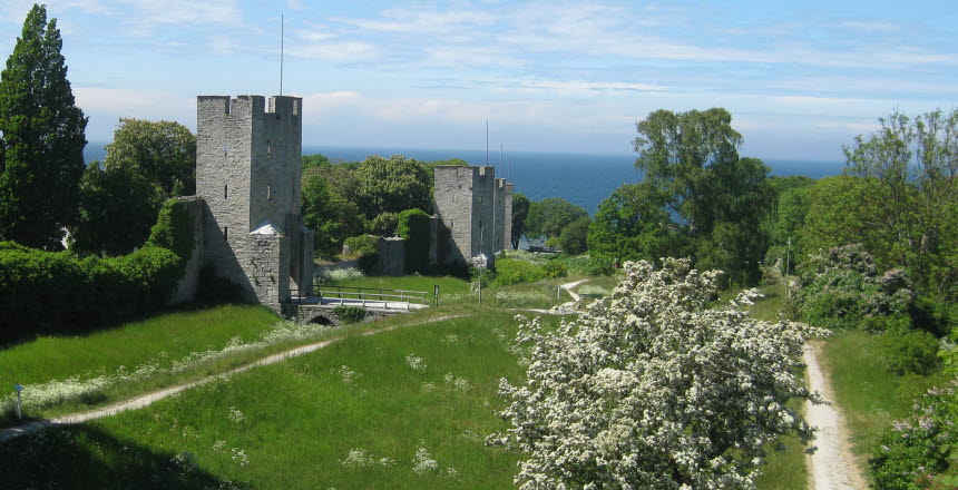 Blå himmel med grönska och nordergravar från Gotland