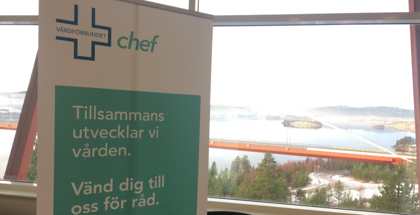 Rollup med Vårdförbundets logga för chefer. I bakgrunden en utsiktsbild över höga kusten.